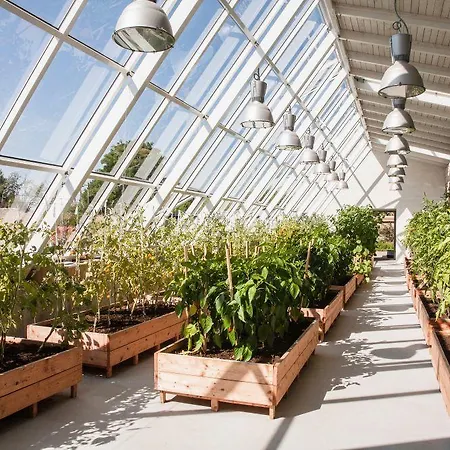 Hotell Manor Country Club & 4*