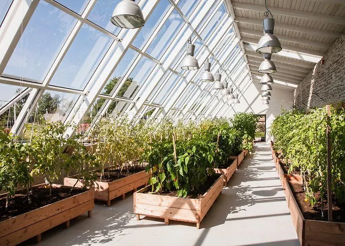 Otel Manor Country Club & 4*